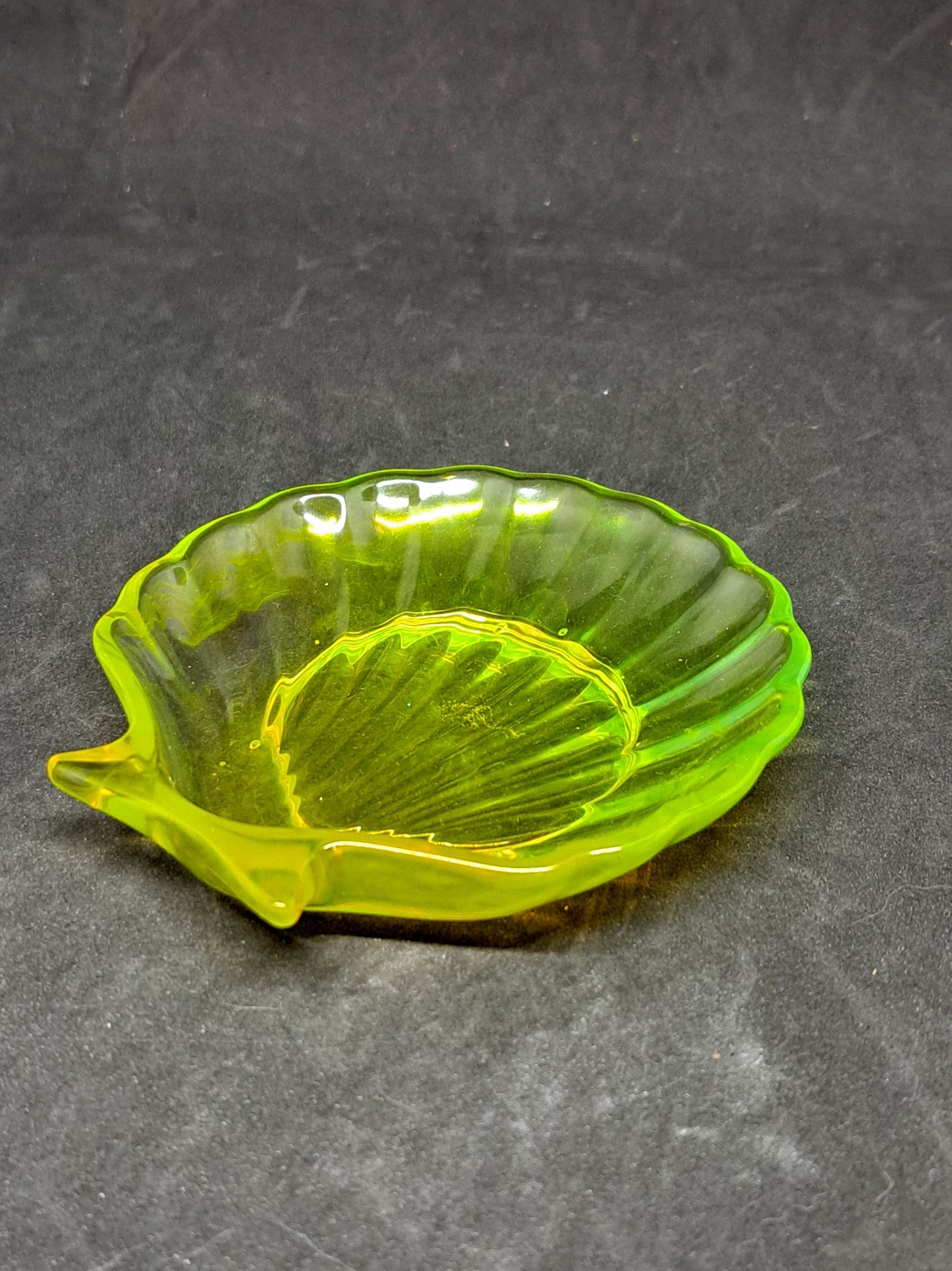 Porte-savon coquillage Jaune et Vert