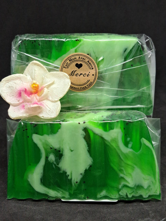 Tranche de Savon Kiwi